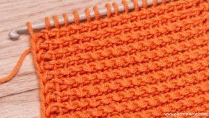 tutorial Patrón Punto Tunecino REVERSIBLE Falso Punto Bobo o Santa Clara