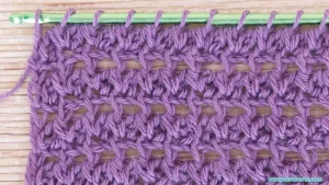 Punto reversible de crochet tunecino fácil y rápido