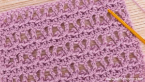Punto Calado a Crochet con Picots: Un Tutorial para Inspirar tus Próximos Proyectos
